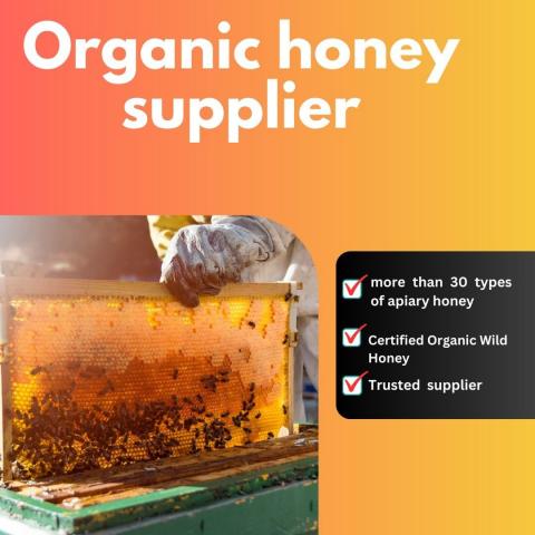 Wholesale Your Trusted Source For Premium Organic Honey Suppliers